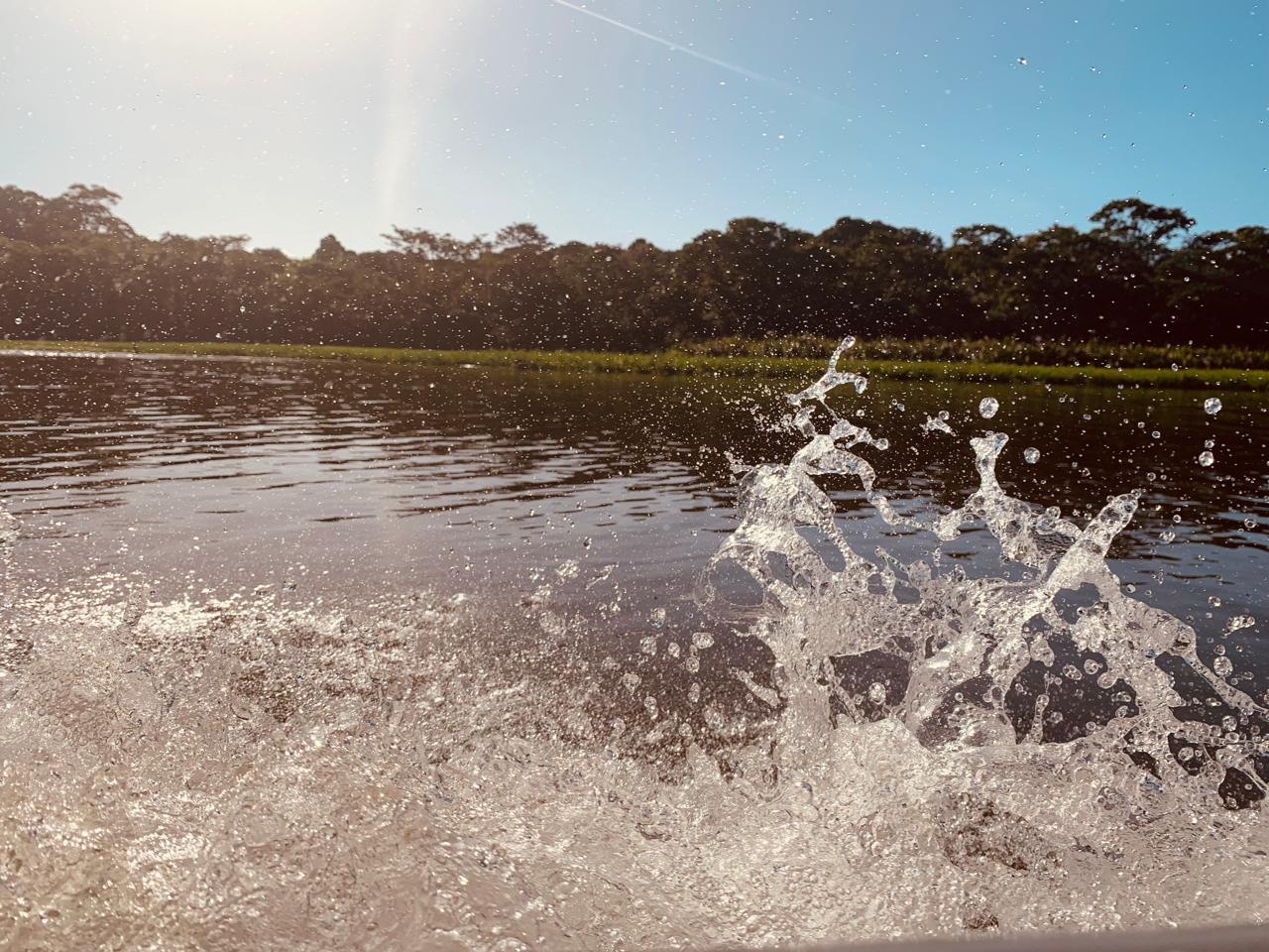 Tortuguero WhatsApp Image 2025-12-06 at 11.40.47 AM (4)